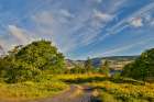Oregon. Rowena Crest above Columbia River, springtime balsamroot and lupine blooming along trail Art Print